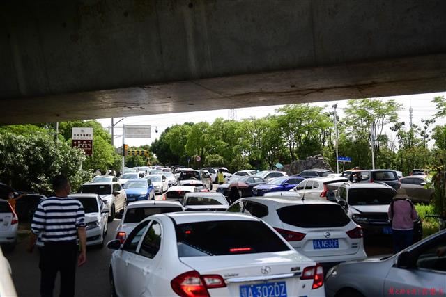 【视频】落雁景区游客聚增，道路两边成停车场