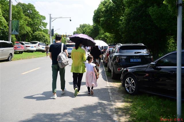 【视频】落雁景区游客聚增，道路两边成停车场
