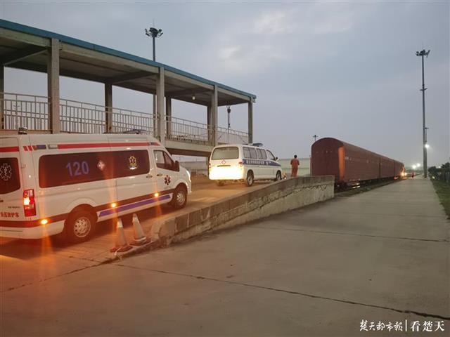 仅用8个半小时！武汉8辆救护车搭乘专列驰援绥芬河