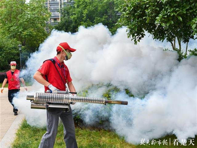 烟雾灭蝇杀蚊